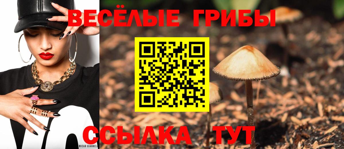 Мариинск  Галлюциногенные грибы GOLDEN TEACHER  наркошоп  Вход с VPN 